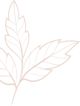 leaves 3